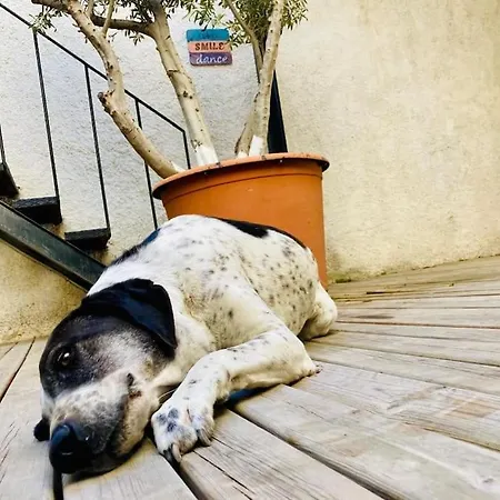 Prázdninový dům Alacati Loft *